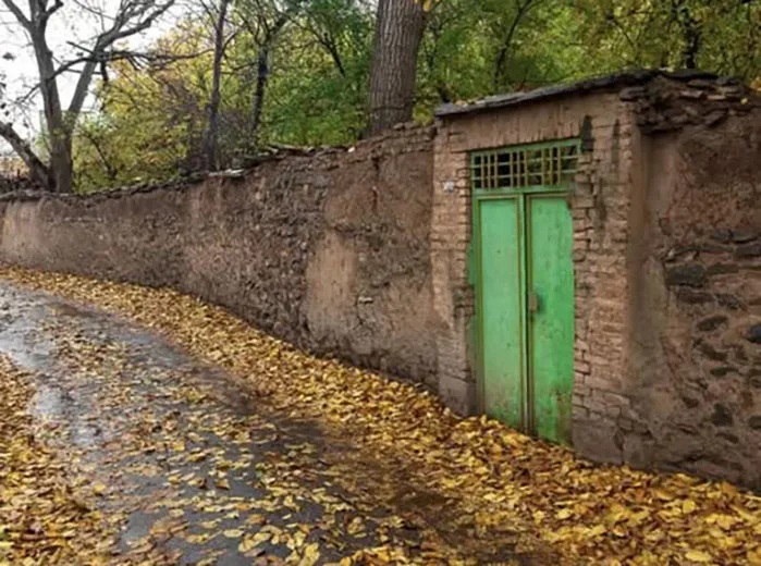 باد و باران در قلب پائیز
