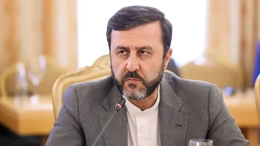 لزوم تقویت دیپلماسی حقوقی برای پیگیری موارد نقض حقوق ملت ایران